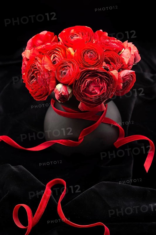 Black flower vase with red ranunculus and red ribbon on black velvet