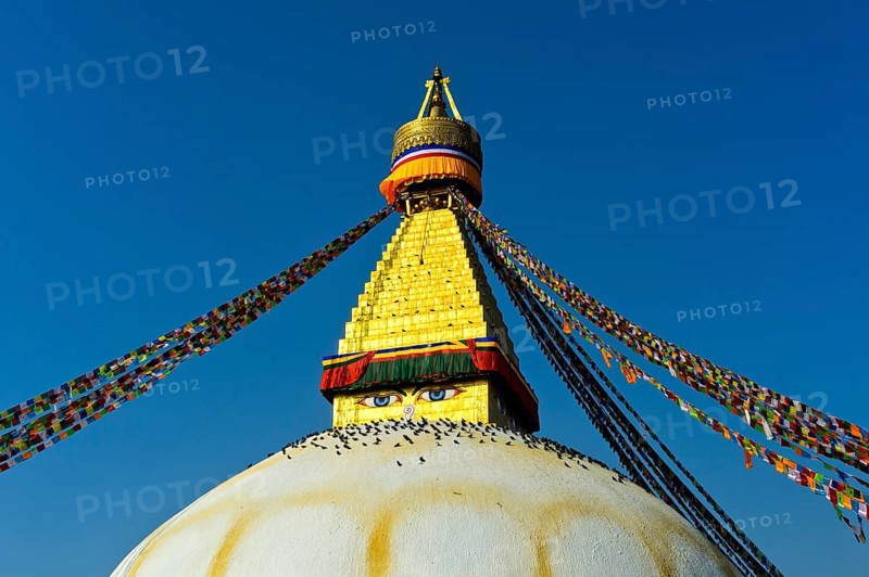 Boudhanath Stupa with birds