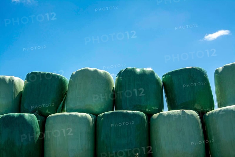 Bales wrapped in green plastic