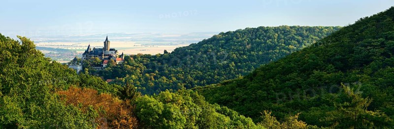 Panorama