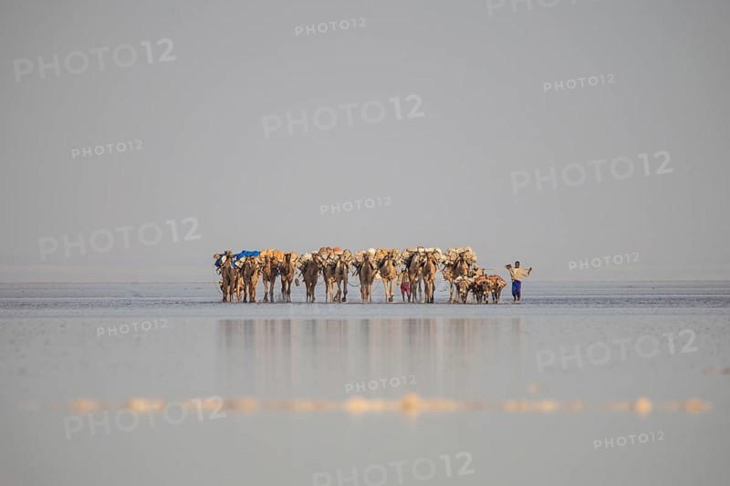 Caravan