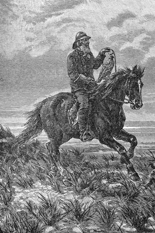 Hunting with the falcon