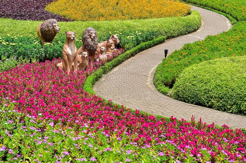 Butterfly Hill