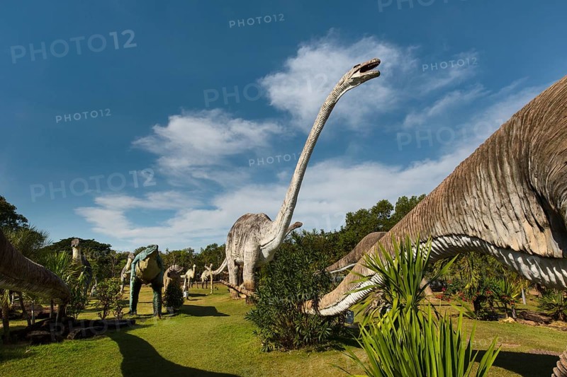 Dinosaur Park