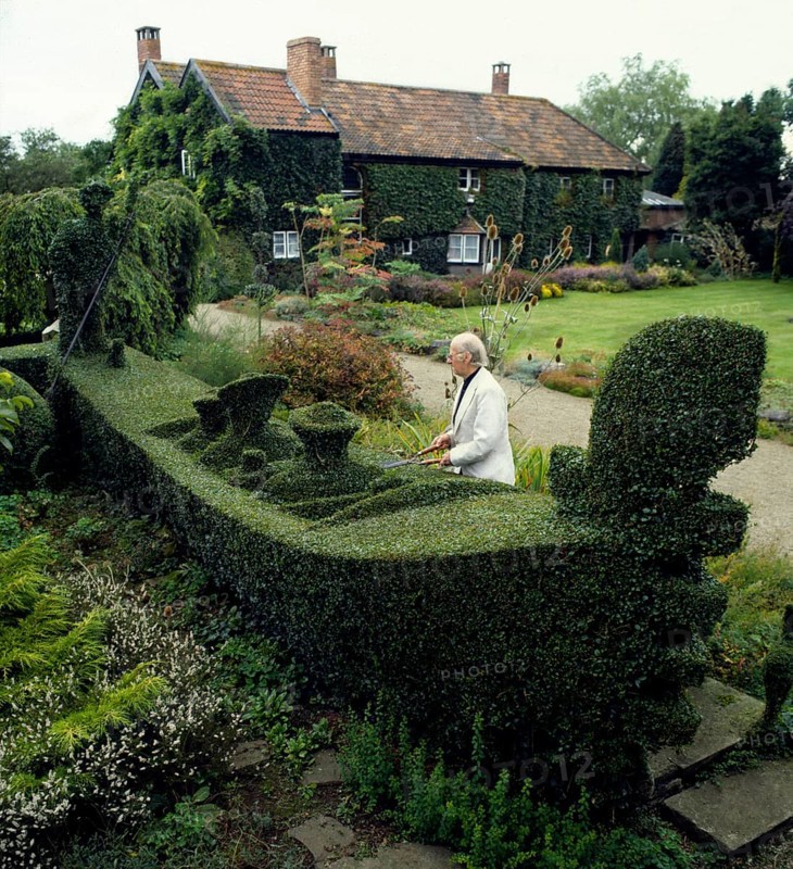 Gardener cuts gondola from a hedge