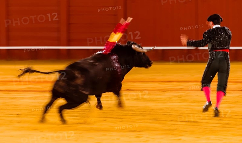 Matador with bull