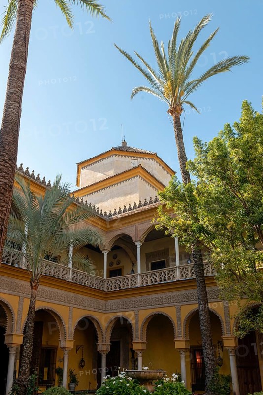 Courtyard with palm trees