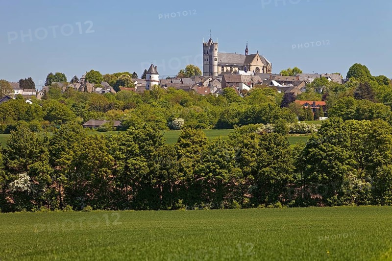 View of Munstermaifeld with the gothic collegiate church St. Martin and St. Severus
