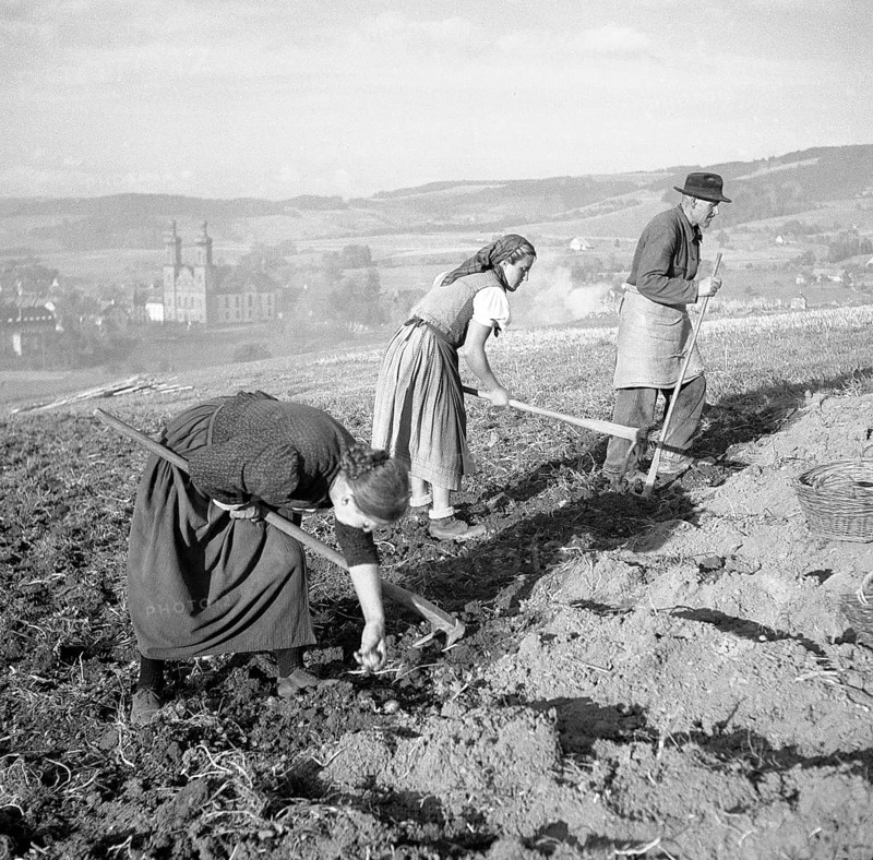 Field worker