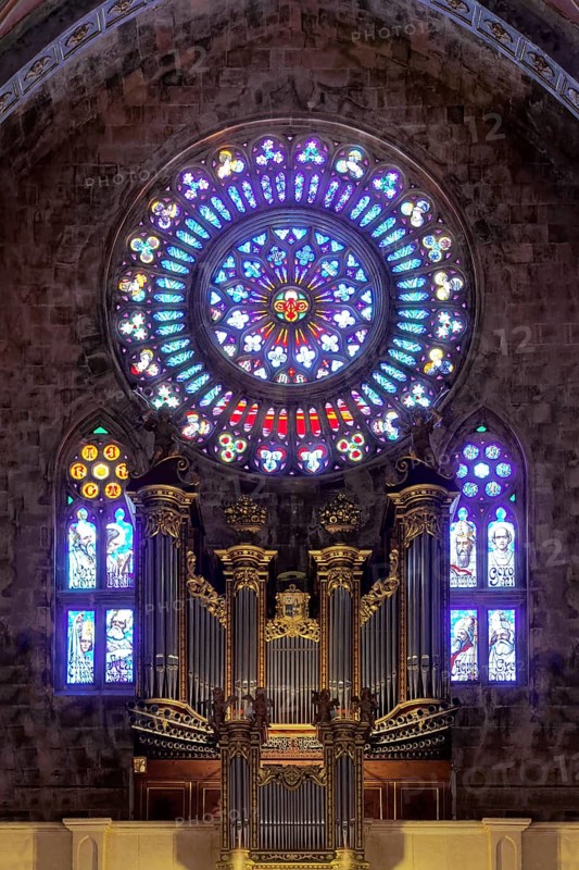 Organ gallery with rose window