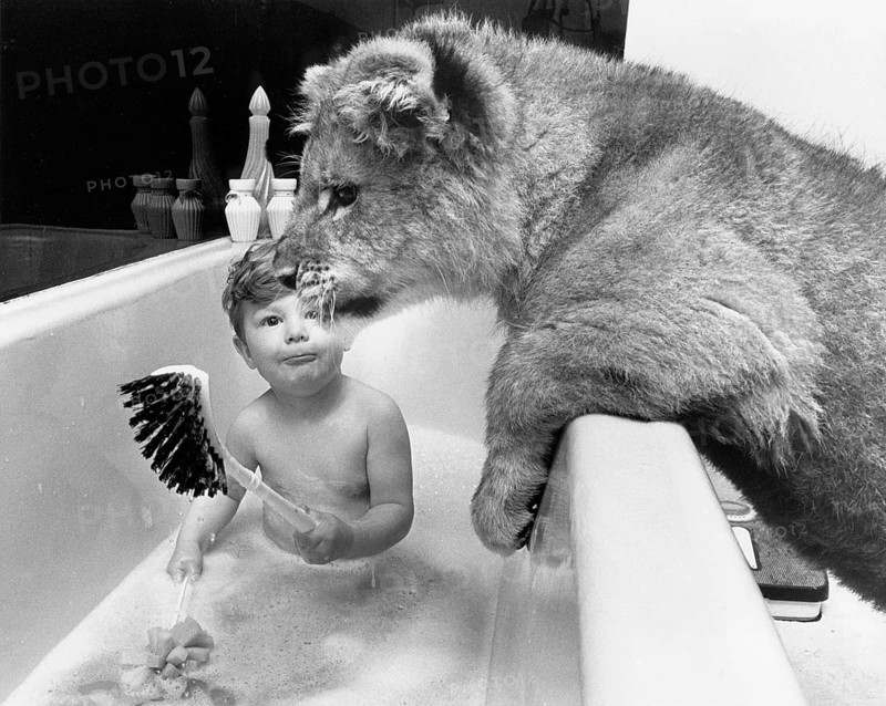 Boy and lion in the bathroom