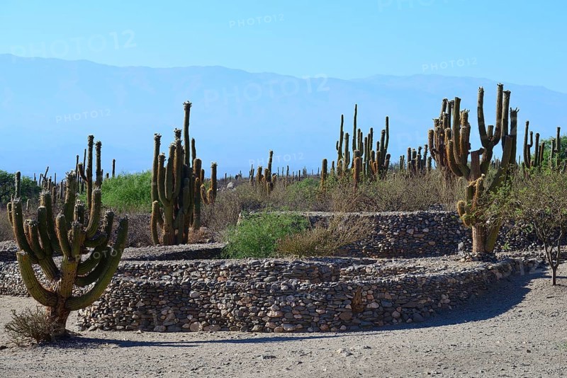 Ruins of Quilmes