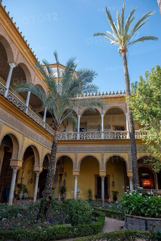 Courtyard with palm trees