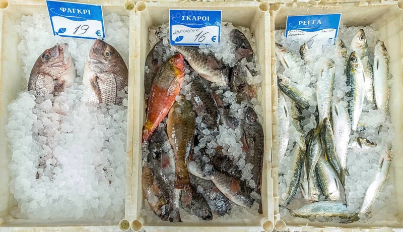 Edible fish for sale