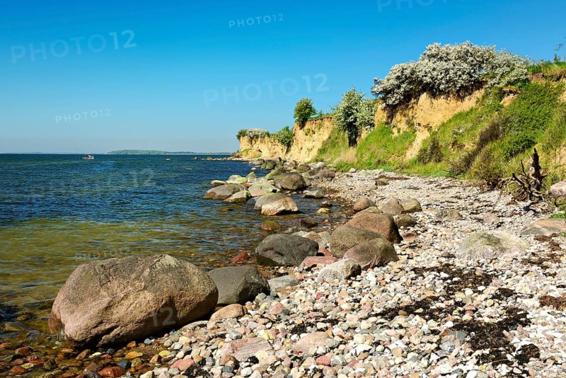 Baltic Sea coast in spring