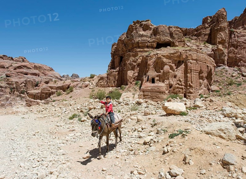 Little boy on a donkey