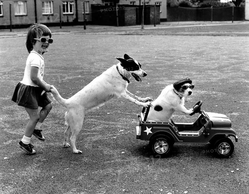 Girl plays with two dogs