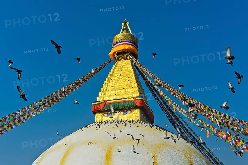 Boudhanath Stupa with a flock of pigeons flying in the sky