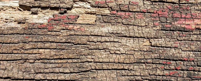 Weathered wood with red colour residues