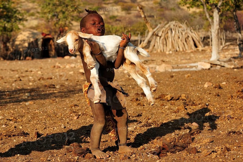 Little Himba boy carrying a goat