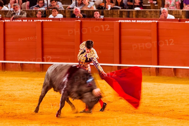 Racing bull with matador