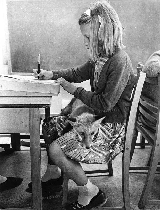Girl with a fox in school