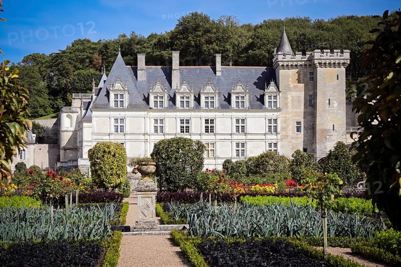 Villandry Castle