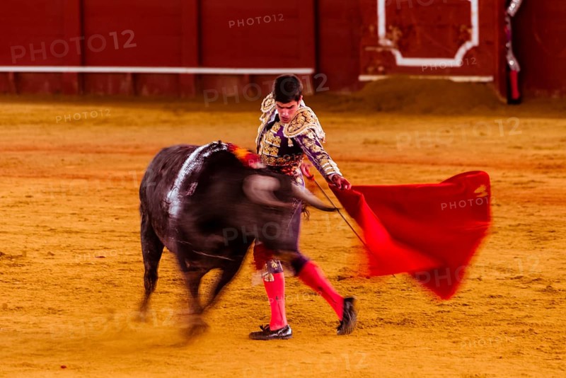 Racing bull with Matador