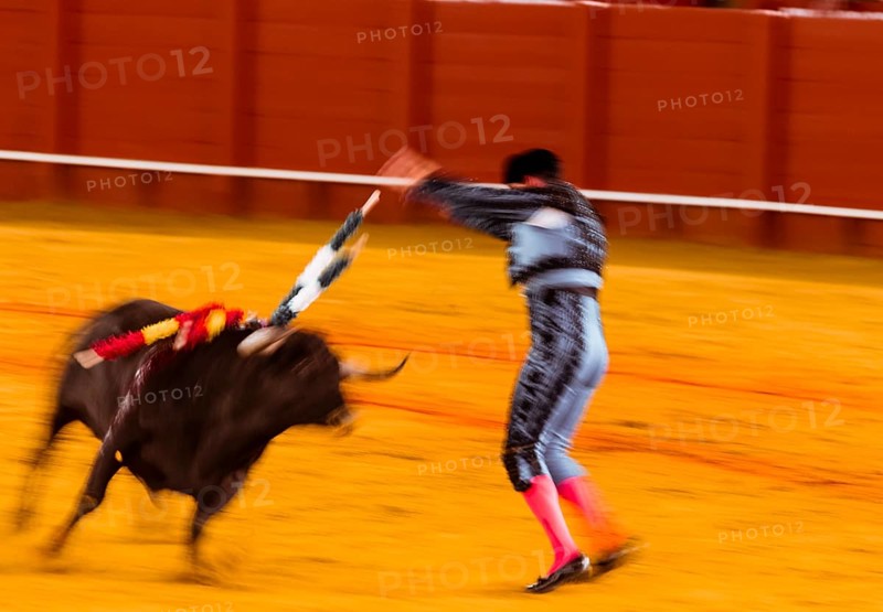 Matador with bull