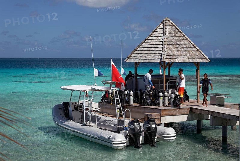 Top Dive Center