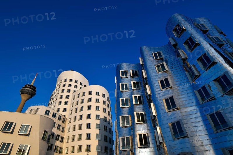 Rhine Tower with Gehry buildings