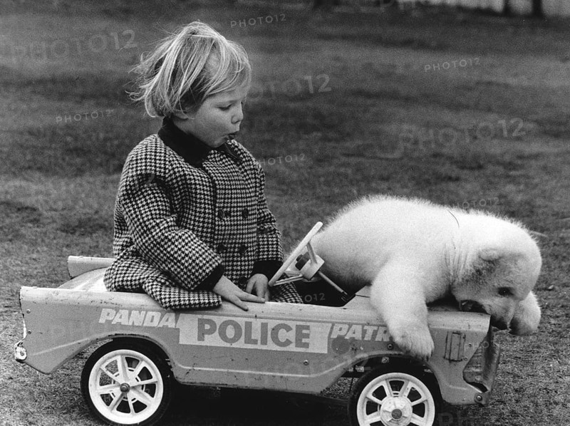 Girls and bears in a toy car
