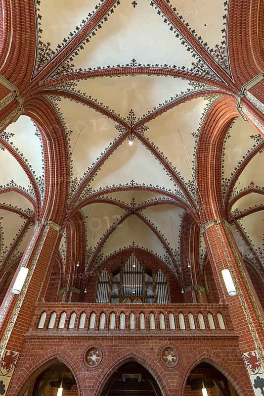 Organ gallery