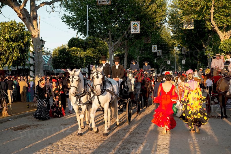 Horse-drawn carriage in front of Casetas