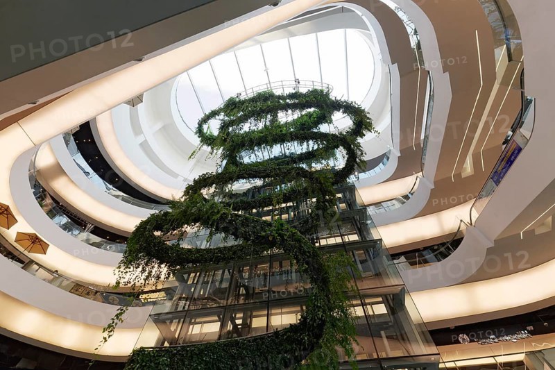 Atrium with green glass elevator