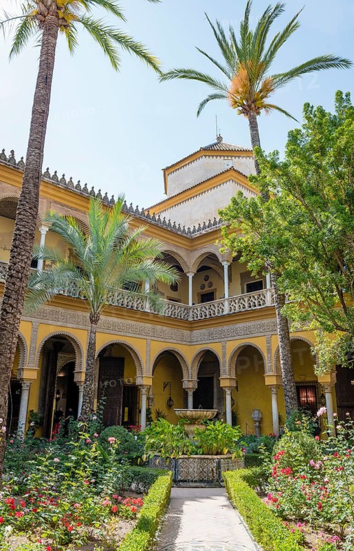 Courtyard with palm trees