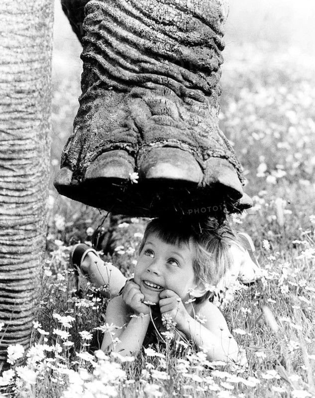 Elephant foot over child