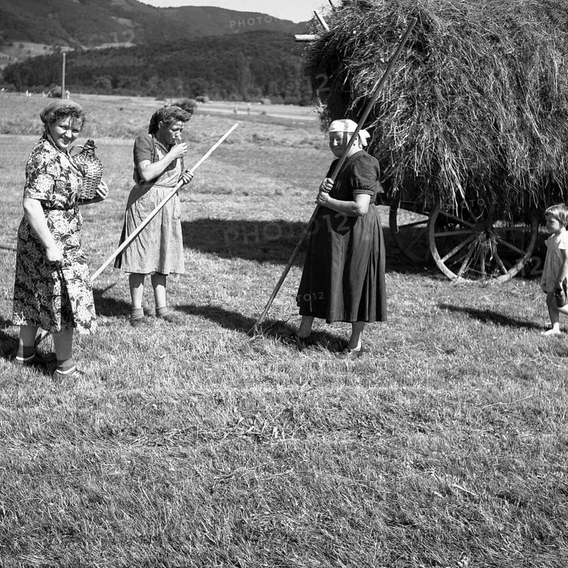 Woman giving water to field workers