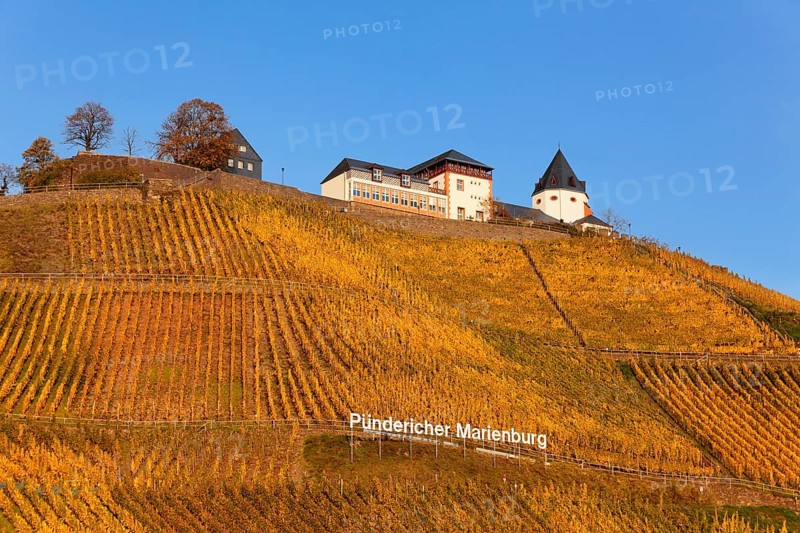 View of Marienburg Castle over vineyards in autumn