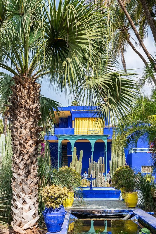 Blue House in the Jardin Majorelle Botanical Garden