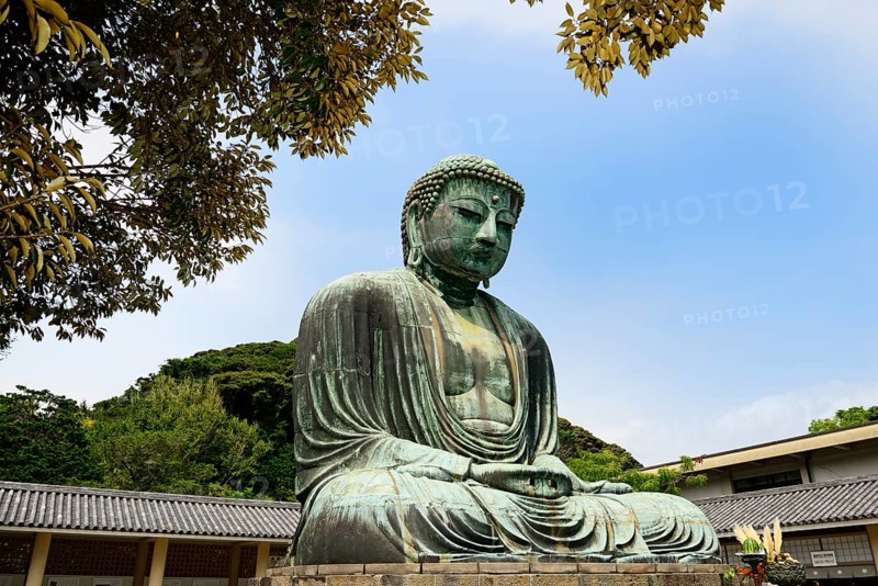 Sitting Buddha Amida Nyorai