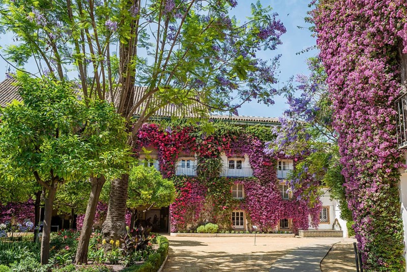 Exterior facade with Bougainvillea
