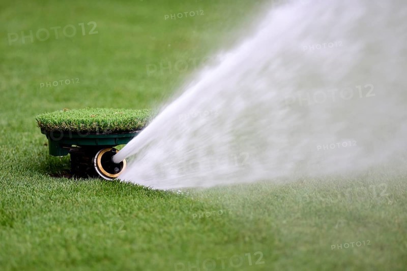 Lawn