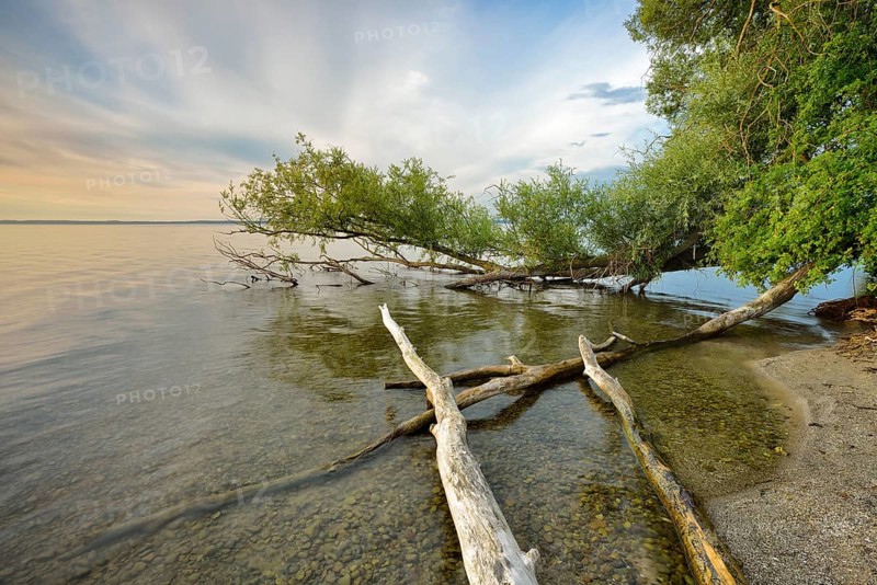 Untouched nature on the banks of the Muritz