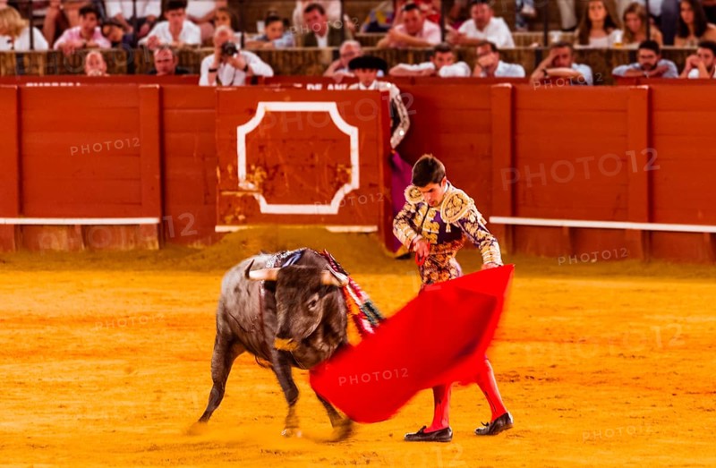 Racing bull with matador