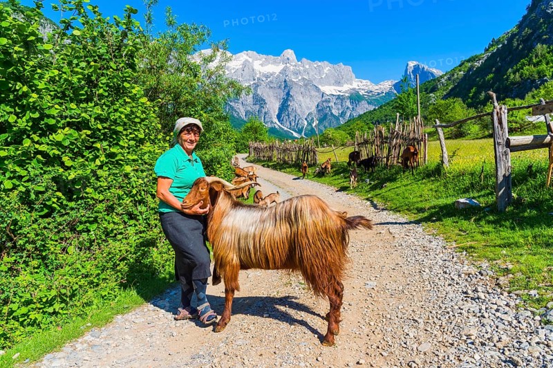 Shepherdess and her goats