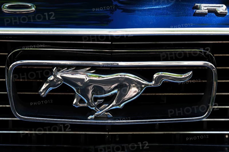 Vintage Ford Mustang