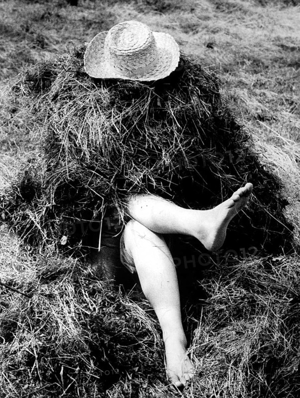 Legs sticking out of haystacks approx. 1970s