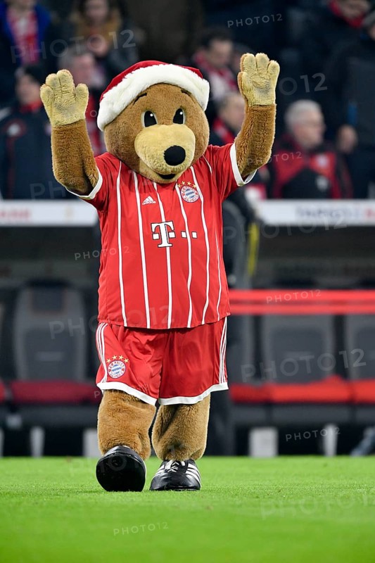 Mascot Bernie