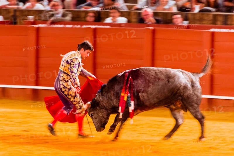Racing bull with matador